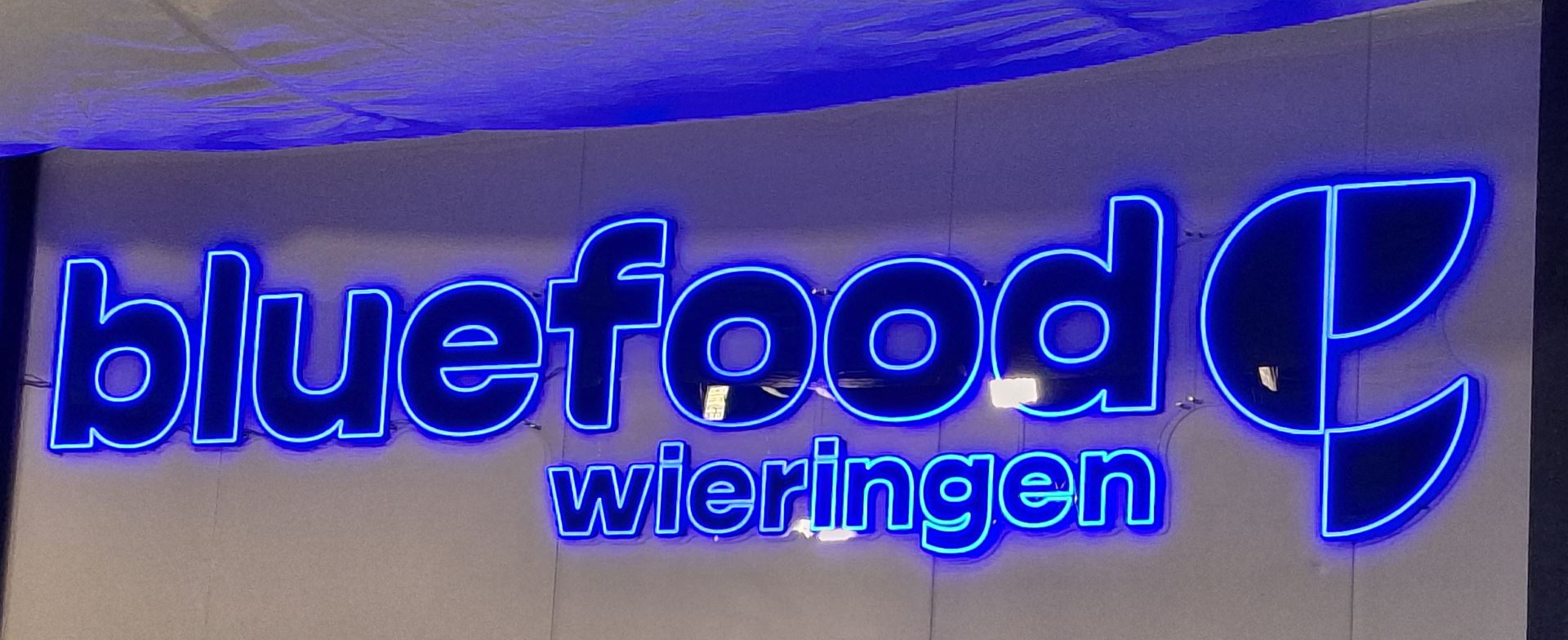 Blue Food in Den Oever: waar de zee op je bord belandt -Afbeelding