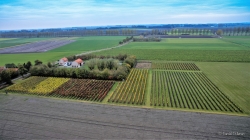 Wijngaard 't Biezenhof