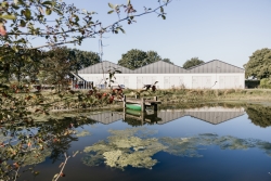 Oesterzwammenkwekerij van Lieshout