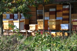 Akkie's Tuin