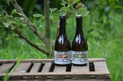 Mooyland Cider