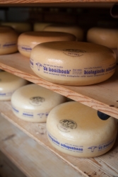 Melkschapenbedrijf De Kooihoek