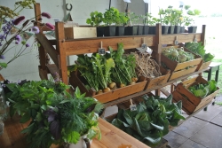 Tuin Kansrijk