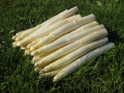 Mts. Dilling Asperges en Blauwe bessen