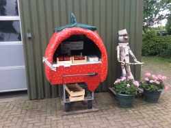 Verse aardbeien ,de lekkerste uit West-Friesland 