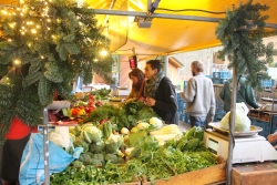 Biologische Boerenmarkt Almere