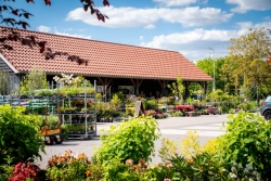 Landwinkel Luemes
