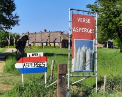 Aspergekwekerij Schuurmans 