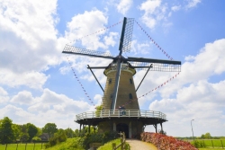 Stellingkorenmolen de Windhond