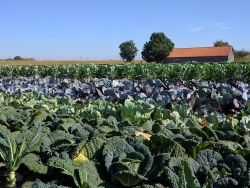 Tuin Salland