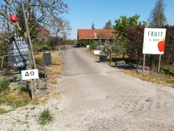 Fruitbedrijf Eversdijk-HoekvanDijke