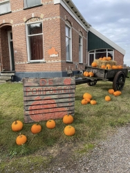 De Pompoenenschuur