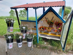 Lotte's Bloemen 