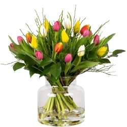 Tulpen.nl