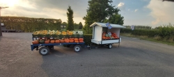 Pompoenen en kalebassen stand