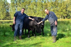 Rundveebedrijf Bos & Akker
