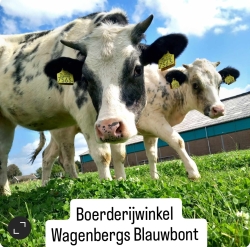 Boerderijwinkel Wagenbergs Blauwbont