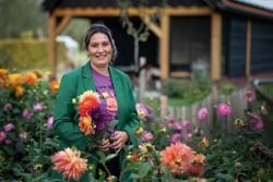 Dahlia Pluktuin
