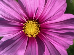 IMG_4075.jpeg