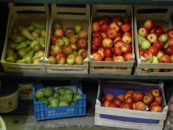 div.fruit.jpg