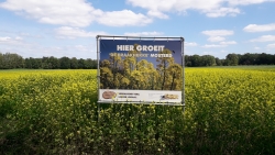 braakhekke mosterd.jpg