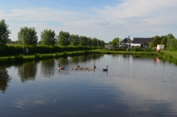 DSC_0075.JPG