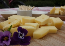 Kaas met viooltje.jpg