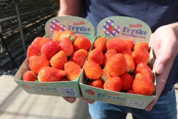 bakjes aardbeien.JPG