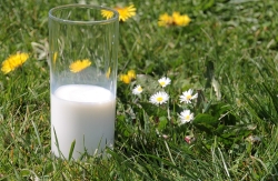 melk.jpg