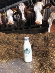 melk.jfif