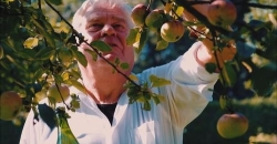 Foto Cor Bernard Cider Drinks.jpg