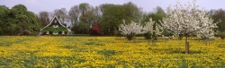 entree Olmenhorst.jpg