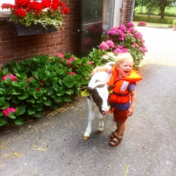 Daniel met kalfje.jpg