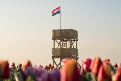 Tulpenpluktuin 2022-1040.jpg