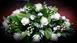 20200803_120337.jpg