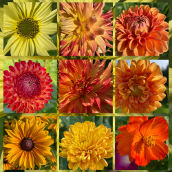 9B79E250-6CDF-45CF-854B-7AFE01DBF78C.png