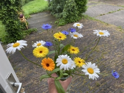 IMG_1856.jpeg
