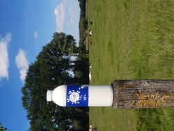 kefir op paal.jpg