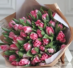 dubbele tulpen.jpg
