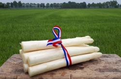 kraakverse Brabantse asperges Van Empel.jpg