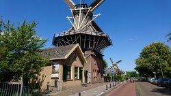 DSC_2316c.jpg