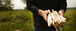 vers gestoken asperges door Henk van Empel Haaren.jpg
