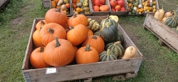 IMG20201002145231.jpg