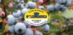 leeuweriksveld_banner.jpg