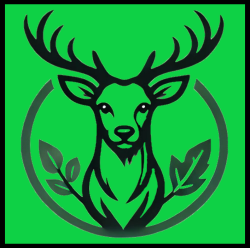 logo met kleur in het midden.png