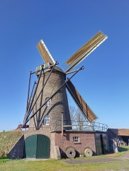 IMG_20230302_153221_HDR.jpg