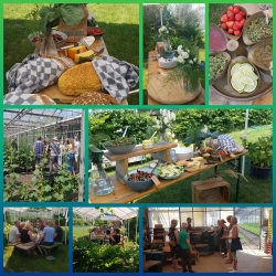 lunch collage.jpg