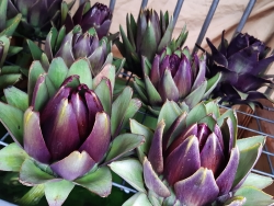 20201003_104655.jpg