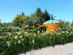 foto vanaf d'n andere kant.jpg