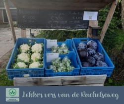 we hebben weer spruitjes!.jpg